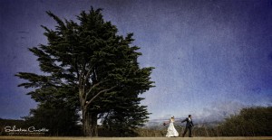 salcincotta_sanfran_workshop2