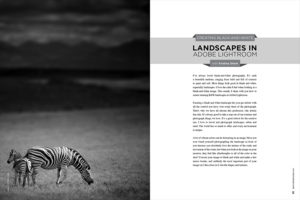 Creating Black-and-White Landscapes in Adobe Lightroom with Kristina Sherk