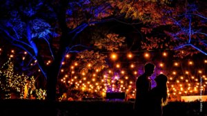 The Panasonic G9 for Wedding Photographers