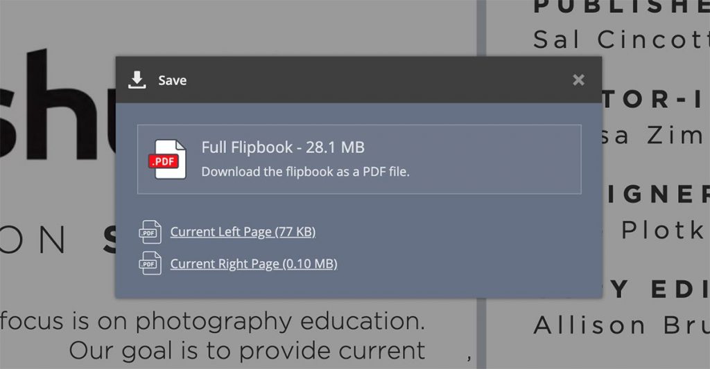 Offline PDF Download dialog box