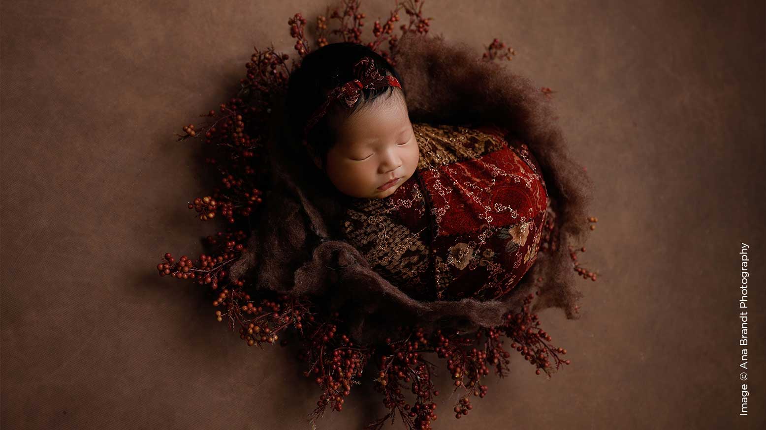 Read more about the article Newborn Photography | 6 Tips for Choosing Props