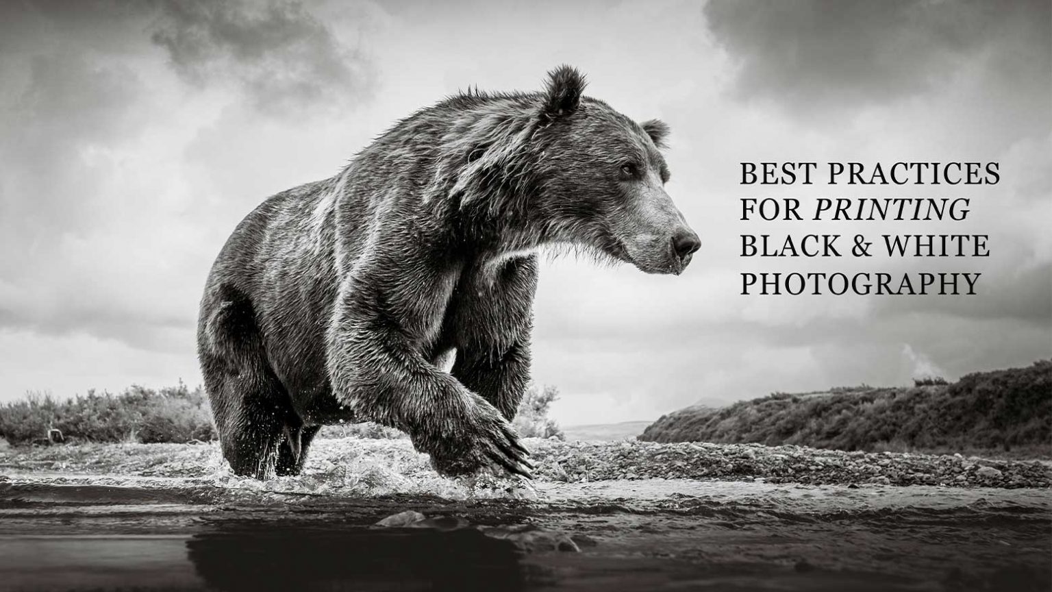 Best Practices for Printing Black & White Photography
