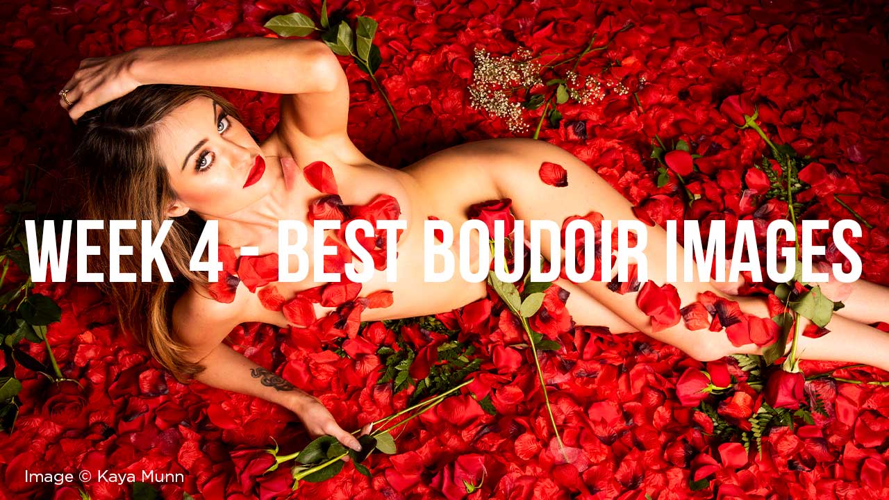 Read more about the article Boudoir Photography Inspiration // Best Boudoir Image – Week 4