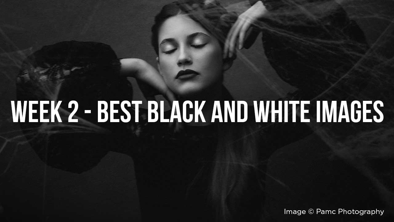 Read more about the article Black and White Photography Inspiration // Best Black and White Images – Week 2