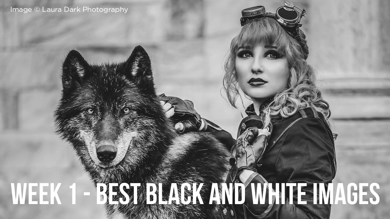 Read more about the article Black and White Photography Inspiration // Best Black and White Images – Week 1
