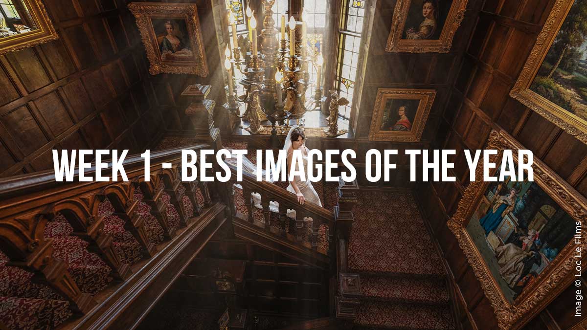 Read more about the article Best of Year Photography Inspiration // Best Images of 2022 – Week 1