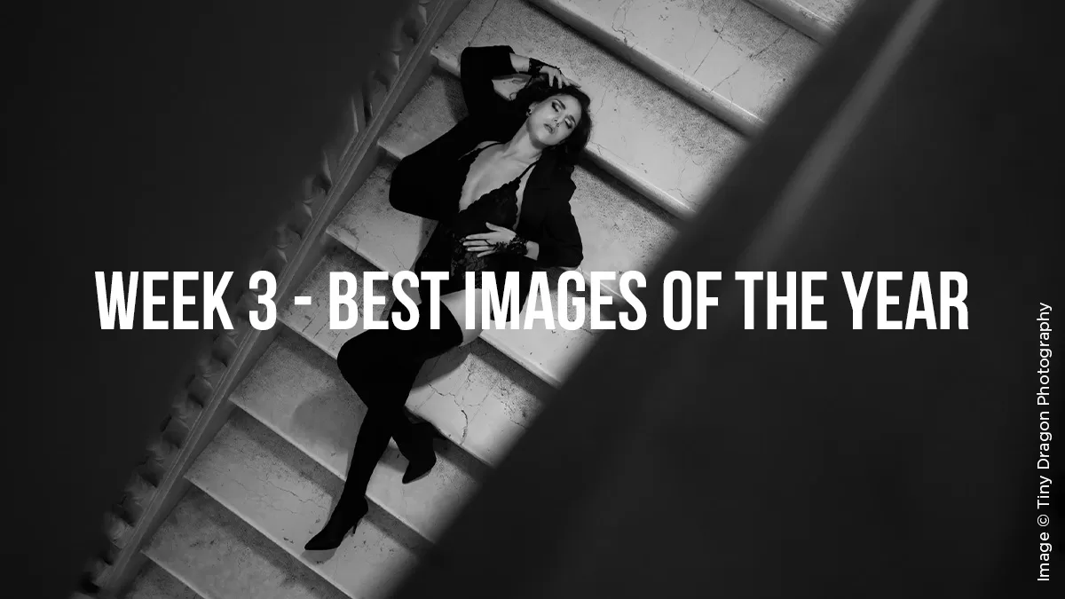 Read more about the article Best of Year Photography Inspiration // Best Images of 2022 – Week 3