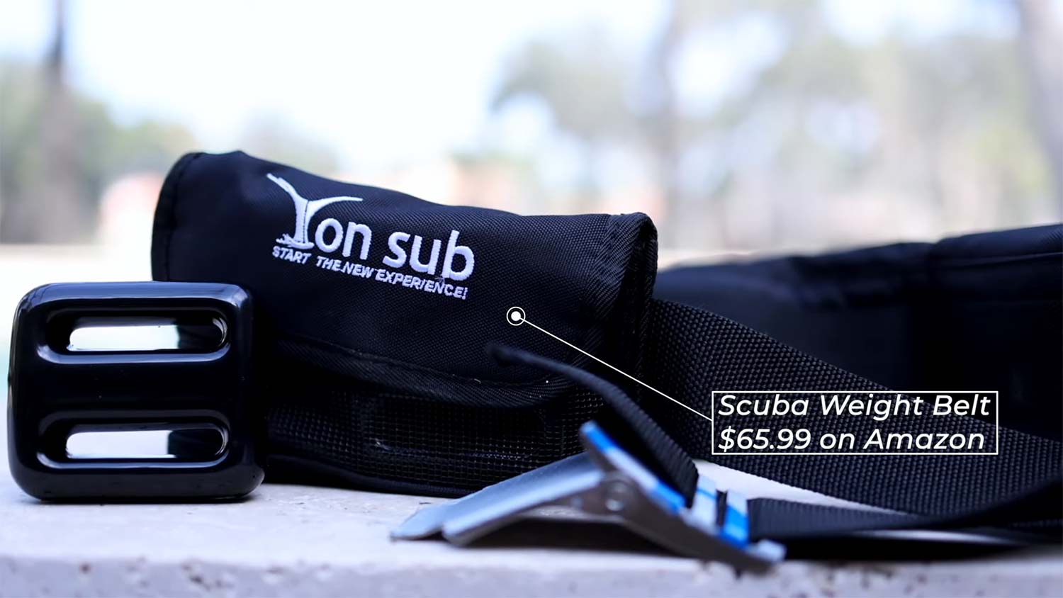 Getting Started in Underwater Photography