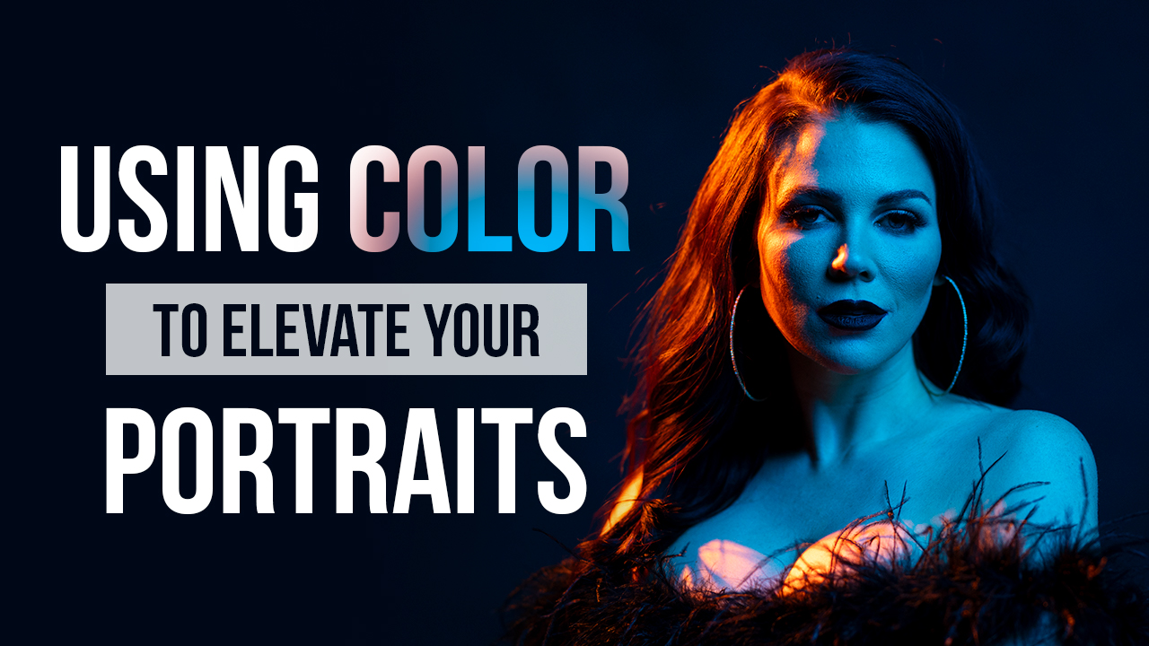 using color to elevate your portraits